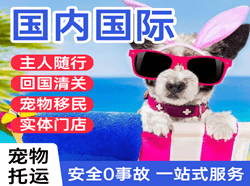 合肥新桥空运国际宠物托运 【国